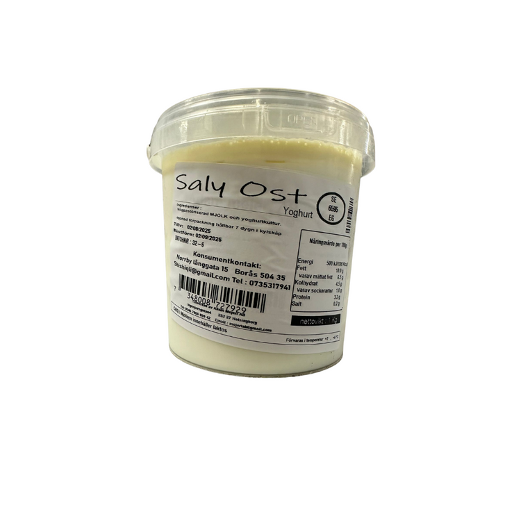 Saleh Yougurt 1 kg