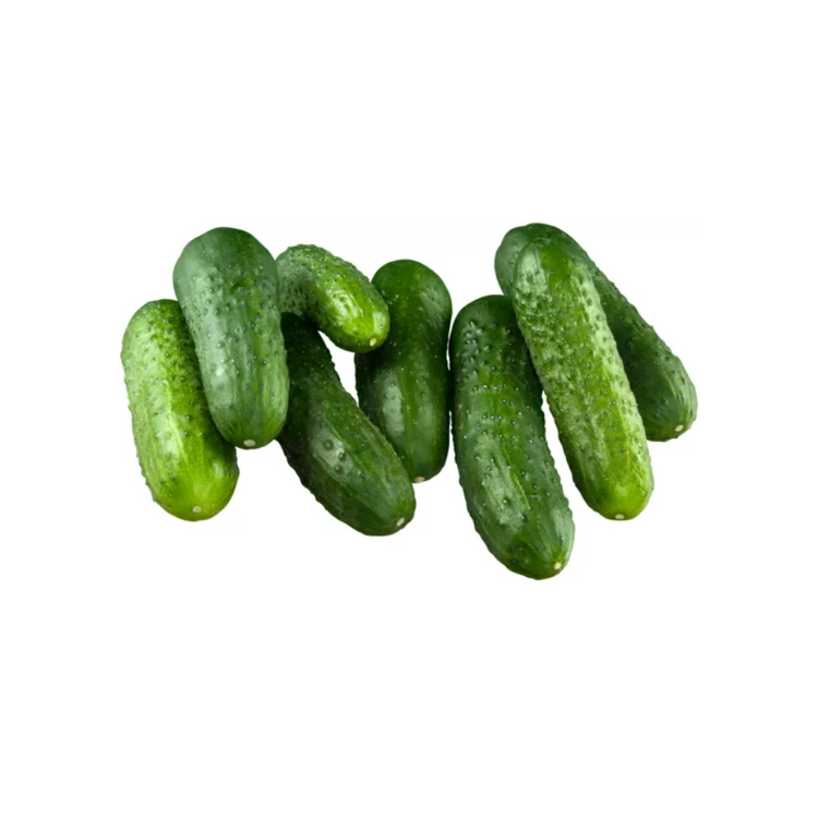 Cucumber Polish x 6kg