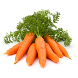 Norsk Gulrot (Fresh) 12 Kg