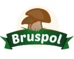 Bruspol