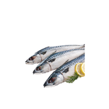 Dayseaday Mackerel, block, not excluding (500g),  2x12,5kg