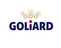 Goliard