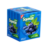 Squeeze Drink Powder Blueberry 12x(12x30g)
