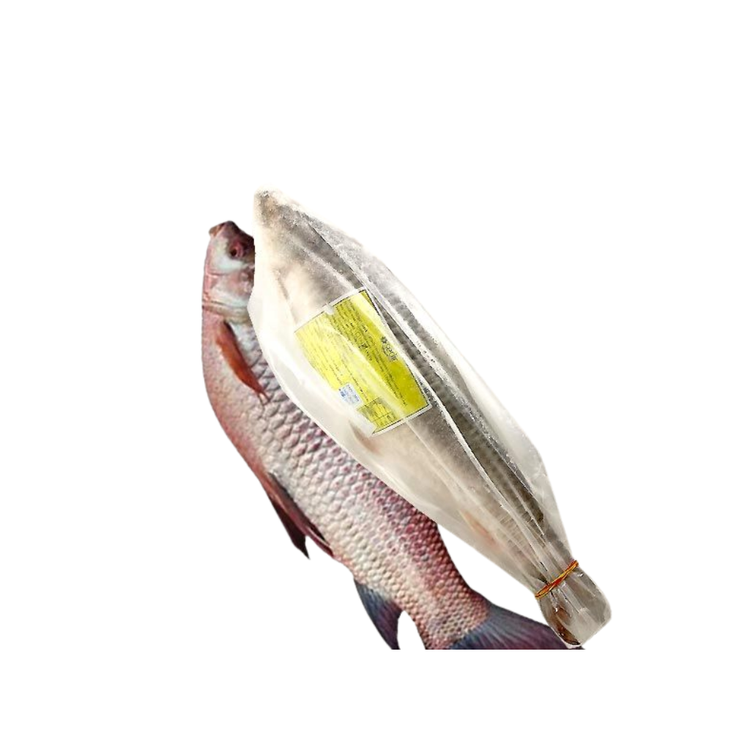 Mirgal Fish Shapoot 2kg up to 20 kg