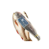 Rohu Fisk Gatthan (Cleaned) 2kg-upp 20kg