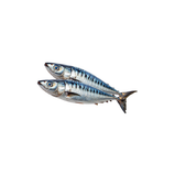 Schultheiss Mackerel Large Approx 700g X 6 (ca 4kg)
