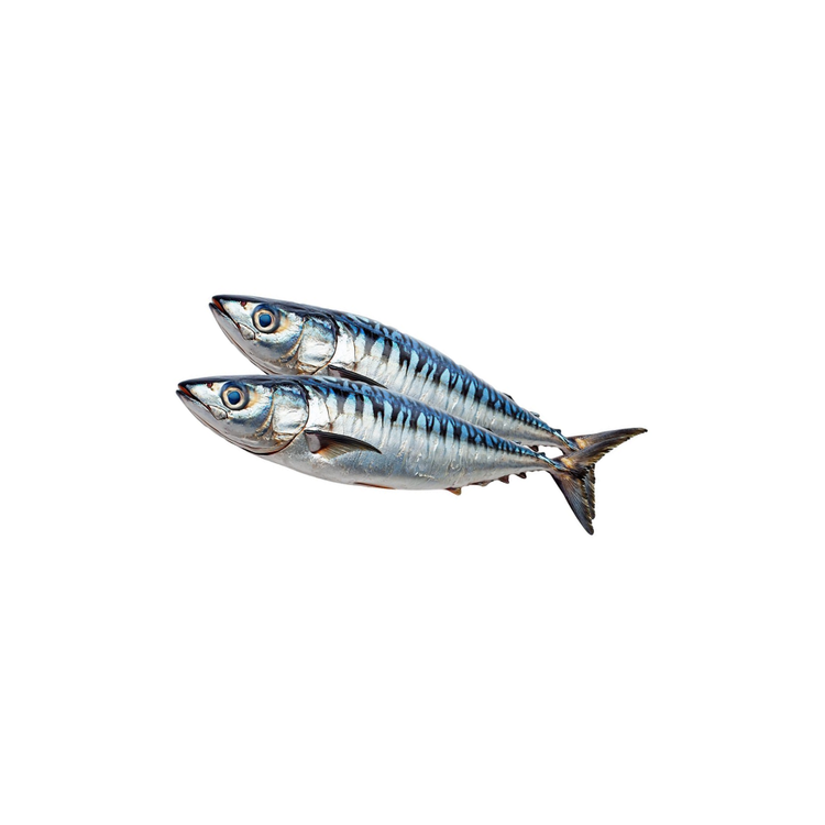 Schultheiss Mackerel Large Approx 700g X 6 (ca 4kg)