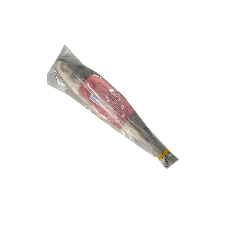 Sobor Hilsa Fish (800-1kg) (About 20 Kg/Ld)