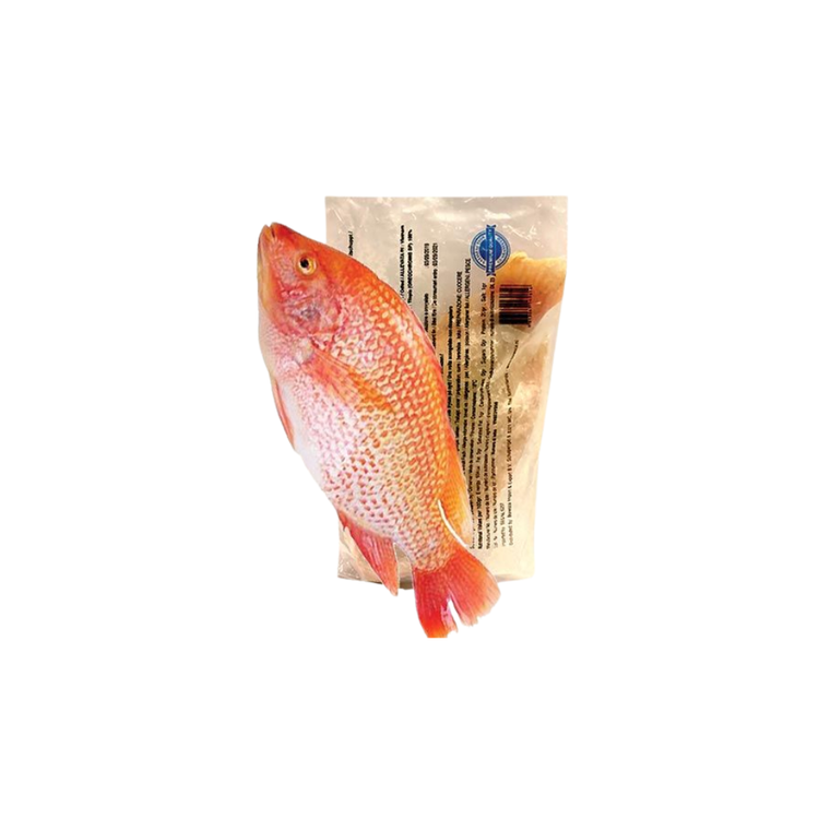 Tilapia Fisk Rød whole cleaned (500-800g pc) x 10kg