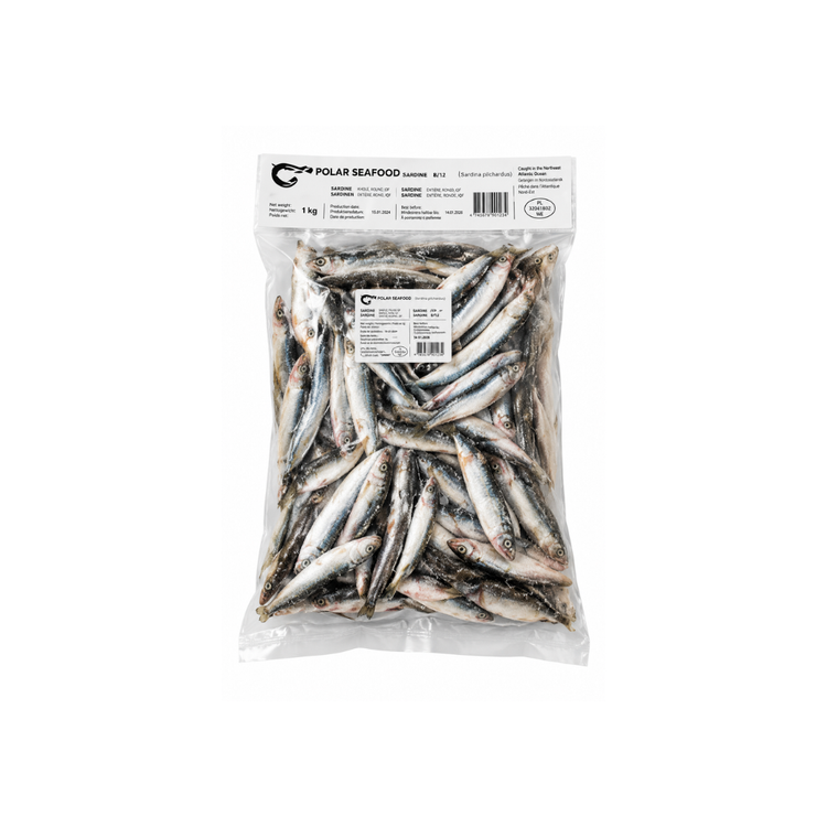 RO Hamsie / Sardellen Anchovis 500g X 20