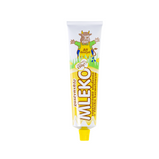 Gostyn Caramel Sweetened Condensed Milk 150G x 20